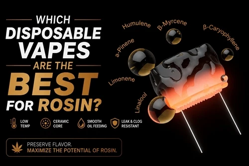 Kuras vienreizējās lietošanas vapes ir vispiemērotākās kolofonijai?